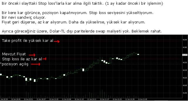 stop-loss-uzerine